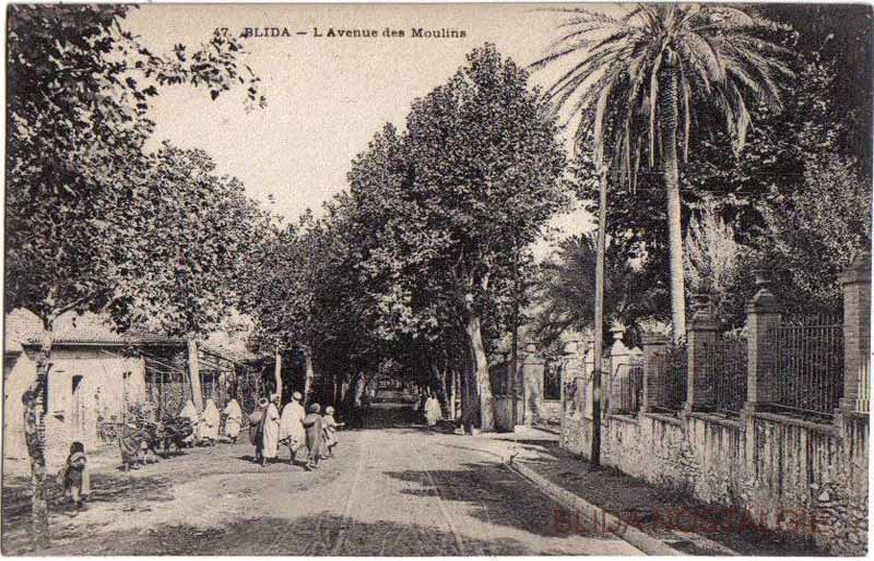 avenue des moulins (16).jpg